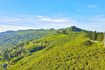 3-Days Eastern Paradise Ilam Tour from Kathmandu