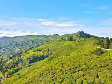 3-Day Nature and Sightseeing Tour to Ilam from Kathmandu