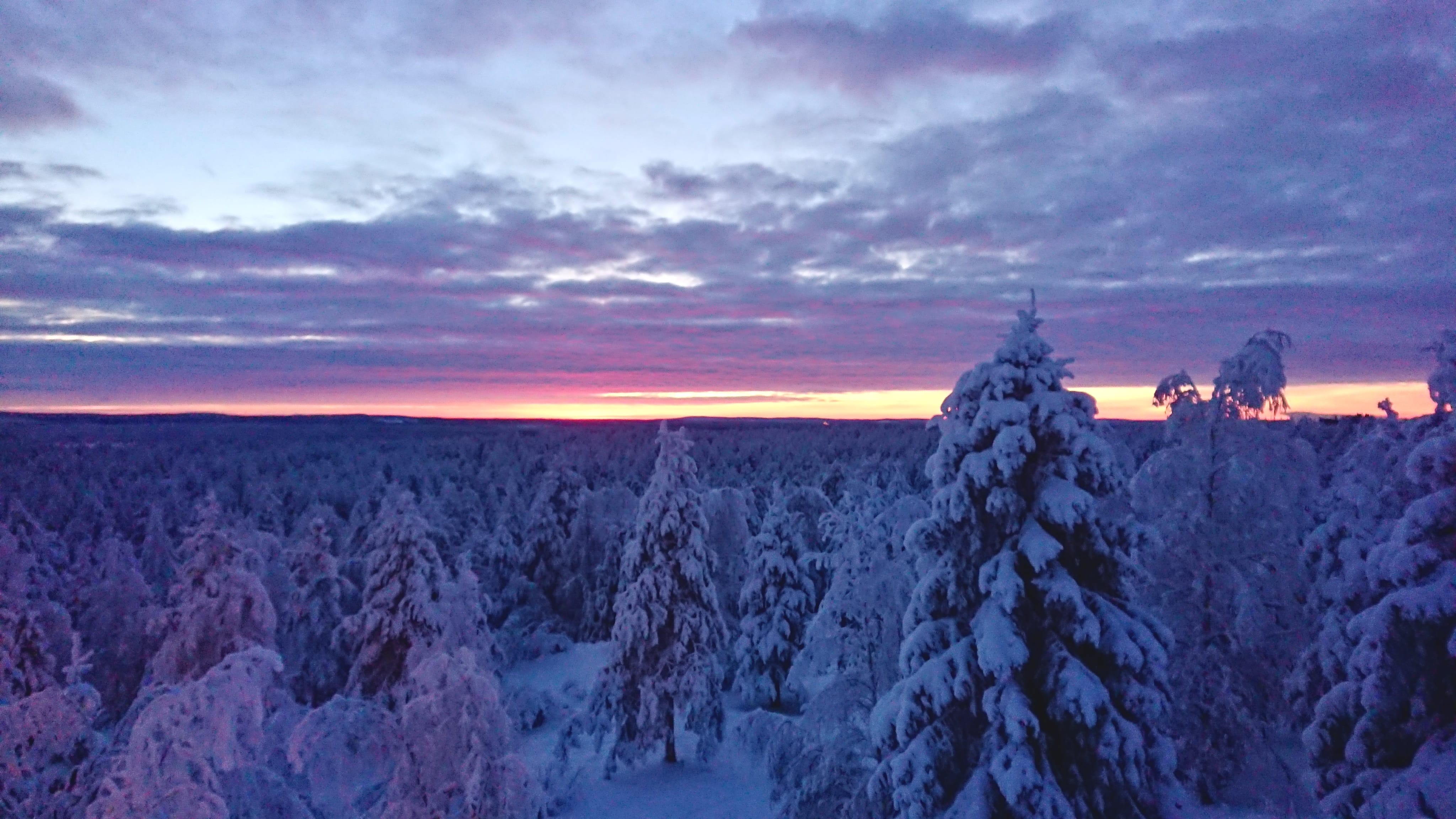 Night snowshoeing Lapland 
