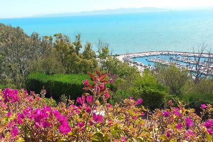 Tunis Highlights Private Day Tour Carthage Bardo & Sidi Bou Said