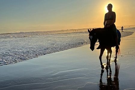 Bali Sunset Horse Riding on Seminyak Beach - Unforgettable Experience