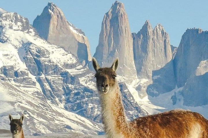 4-Day Atacama Desert Experience with Hotel, Tours & Meals