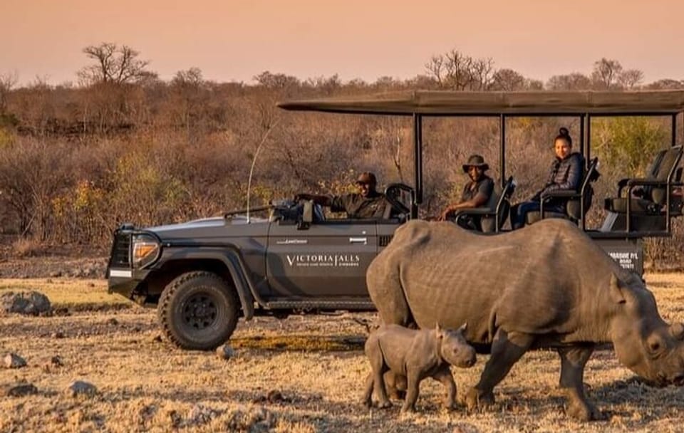 Evening Game Drive and Bush Dinner in Victoria Falls