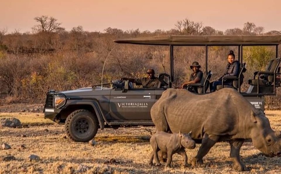 Evening Game Drive and Bush Dinner in Victoria Falls