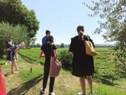 Winery Tour and Tasting of Garda Wines 8