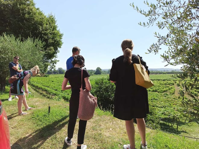 Winery Tour and Tasting of Garda Wines 8