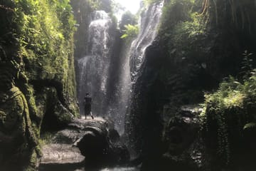 Purification Ritual at Beji Griya Waterfall in Ubud