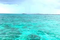 Snorkeling Activity with Boat Ride in Montego Bay  10
