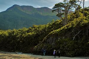 Private Patagonian Andes Sea-to-Summit Hike