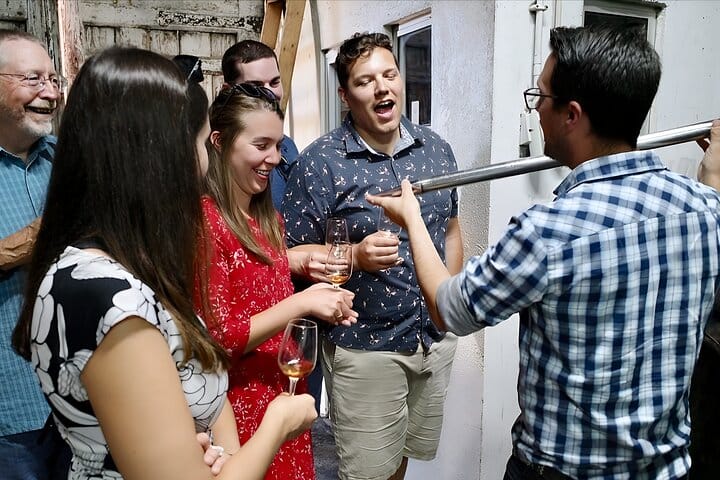 DOURO VALLEY: Premium Wine Tour, Lunch at Winery & Private Cruise