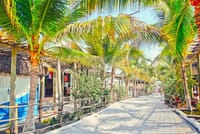 Day Tour Between Mangroves, Fishing & Black Sand Beach Activities + Lunch 3