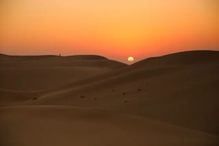 Sunrise Desert Safari in Abu Dhabi