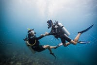 Professional Scuba Diving Full Day Trip With Transfer – Hurghada