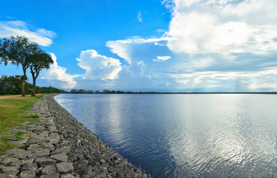 DISCOVER SRI LANKA – ( Culture,Religon, Arts,History)