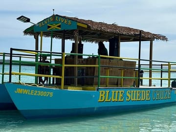 Booby Cay Island Boat Tour with Open Bar & Fresh Seafood Lunch
