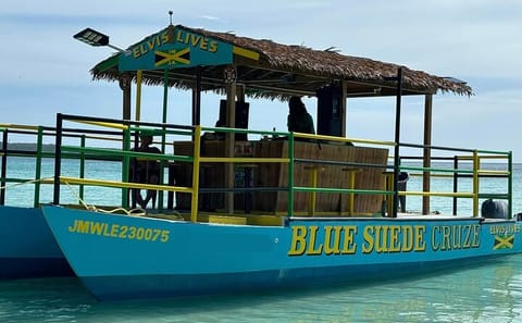 Booby Cay Island Boat Tour with Open Bar & Fresh Seafood Lunch