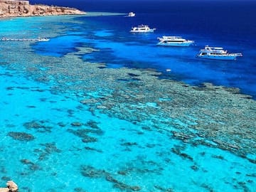 Ras Mohamed and White Island Snorkeling Tour from Sharm El Sheikh