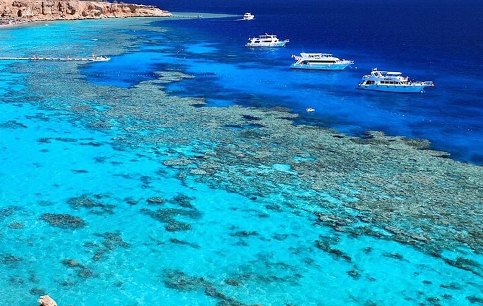 Ras Mohamed & White Island Snorkeling Cruise from Sharm El Sheikh