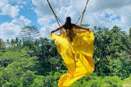 Private Ubud Tour with Swing