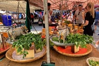 Authentic Mallorca with Lunch 7