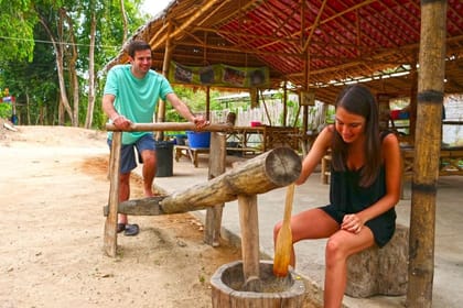 Phuket: Honeymoon Elephant Care Program