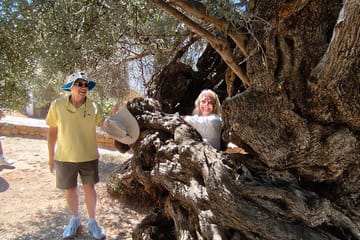 Chania Old Town and Olive Oil Experience Tour