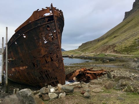 Strandir Adventure Private Tour