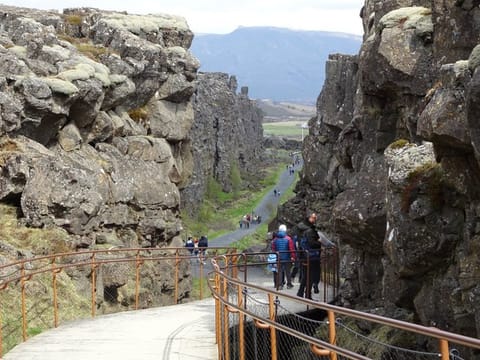 Reykjavík: Golden Circle Small Group Tour with Friðheimar Farm Visit, photo 5
