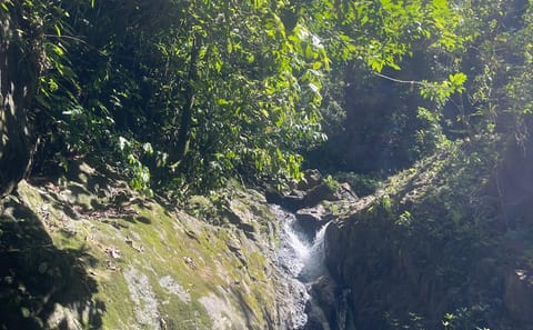 Hiking Adventure to Waterfalls in Bocawina National Park, Belize