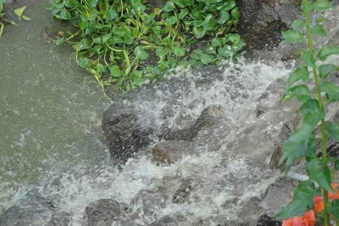 St Lucia Northern Island Tour photo 5