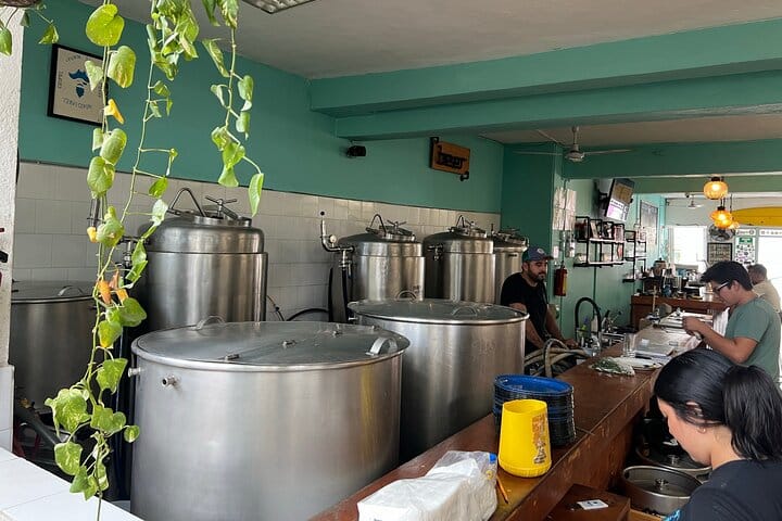 Island Shakers: Cozumel Mixology & Taco Tour 9