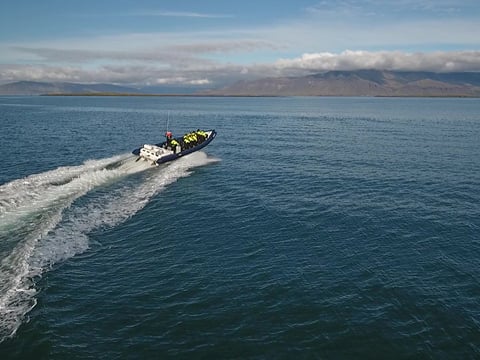 RIB Express, photo 13