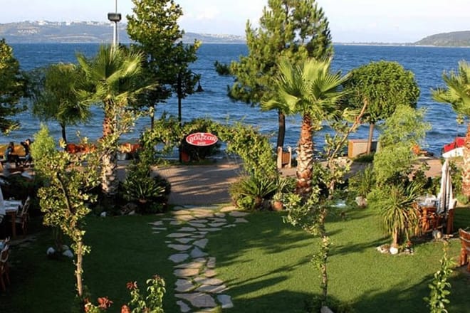 From Istanbul: Scenic Sapanca and Masukiye Day Trip With Lunch  6
