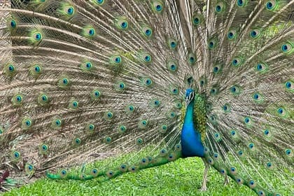 Ghana’s Eastern and Greater Accra Region Private Guided Tour