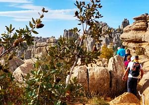 Antequera and El Torcal private trip from Costa del Sol