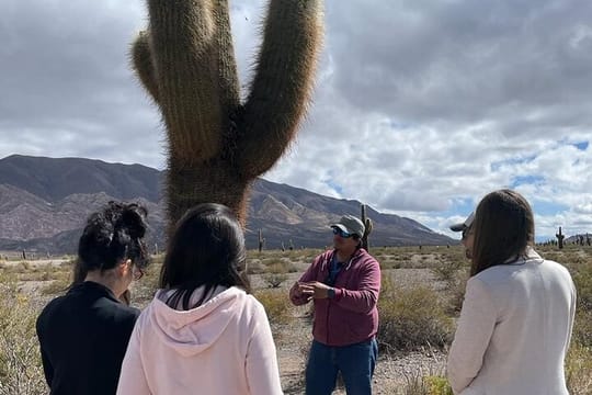 2-Day Calchaquí Valley Tour to Cachi and Cafayate