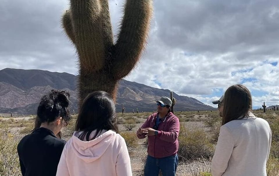 2-Day Calchaquí Valley Tour to Cachi and Cafayate