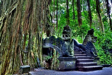 Guided Tour and Skip-the-Line Ticket to Ubud Monkey Forest