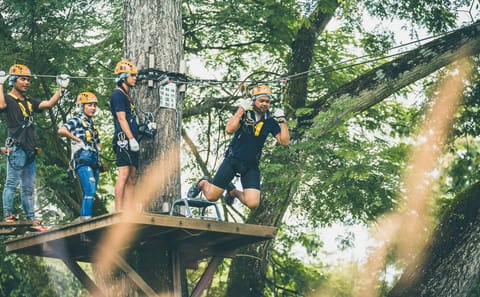 Self-Guided High Ropes Course at Phoenix Adventure Park, Chiang Mai
