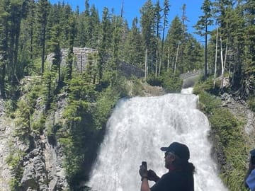 Private SUV Tour of Mt Rainier National Park from Bellevue