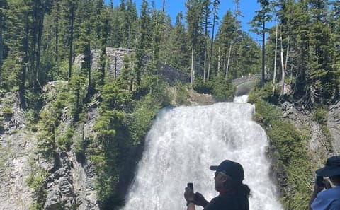 Private SUV Tour of Mt Rainier National Park from Bellevue
