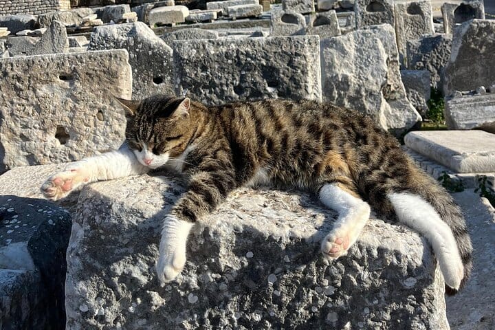 Basilica of St. John and Virgin Mary’s House Tour