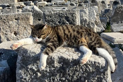 Basilica of St. John and Virgin Mary’s House Tour