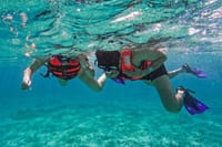The Tulum Sea Turtle and Rays 1.5 Hours Snorkel Experience 6