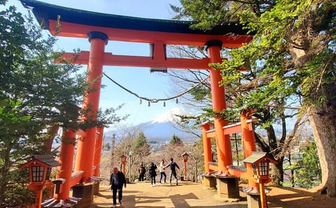 English Guided 2 Days Tokyo ,Mt Fuji and Hakone Private Tour