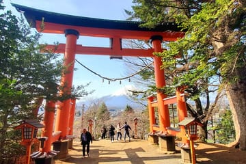 English Guided 2 Days Tokyo ,Mt Fuji and Hakone Private Tour