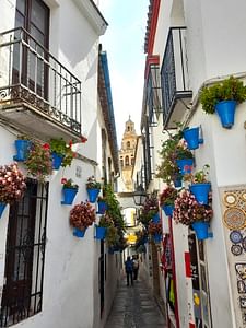 From Costa del Sol: private trip to Cordoba