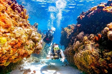 Diving Day Trip to Tiran Island from Sharm El-Sheikh