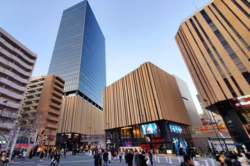 Full Day Tokyo Customizable Private Tour With English Driver