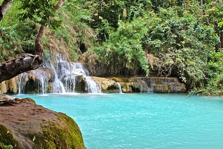 Discover Rice Cultivation & Swim at Kuang Si Waterfall in Luang Prabang